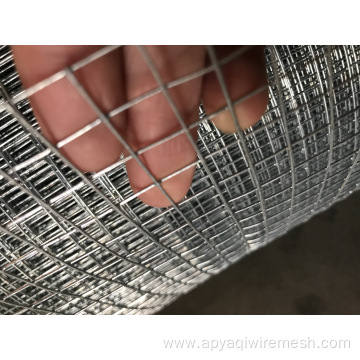 Galvanized welded bird cage galvanized welded mesh